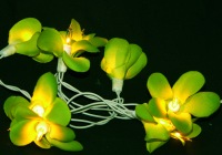 Green Frangipani Night Fairy Light_sml.jpg